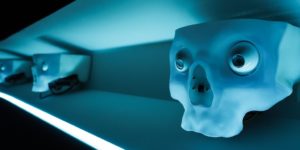 Facial Recognition Systems